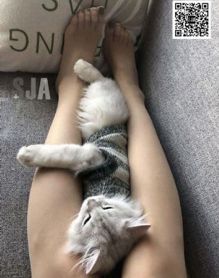 碧海雄心