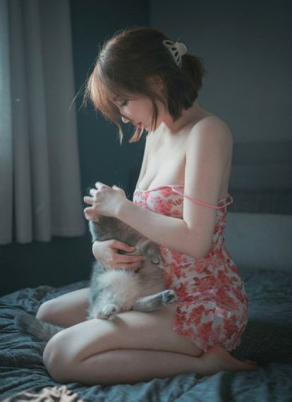 过招电视剧在线观看全集免费高清