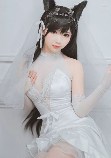 电视剧免费全集观看