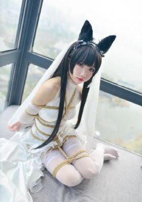 完美搭档2