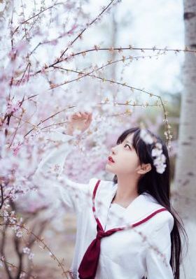 带着手机闯荡异世界